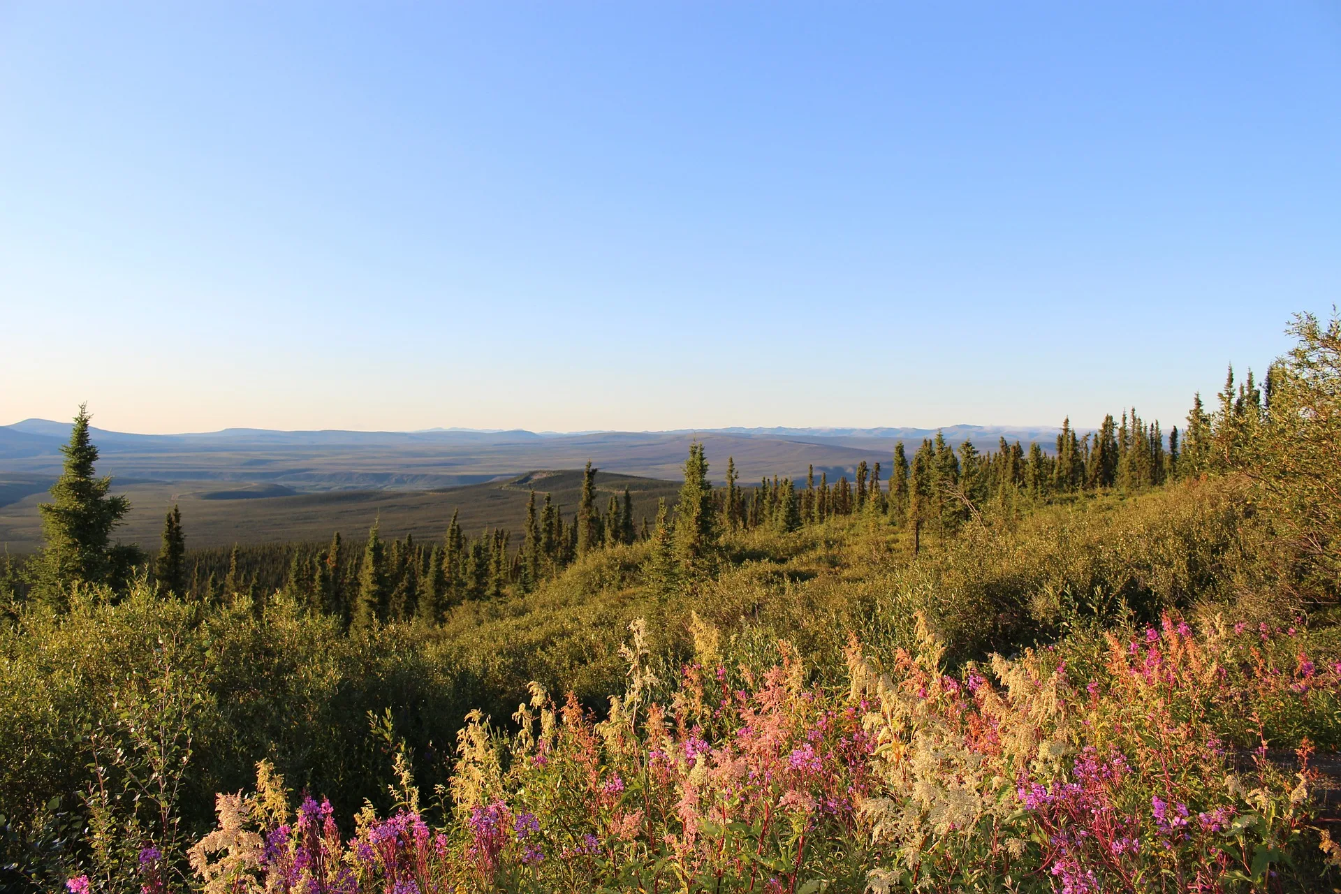 Canada – Yukon, sulle orme dei cercatori d’oro