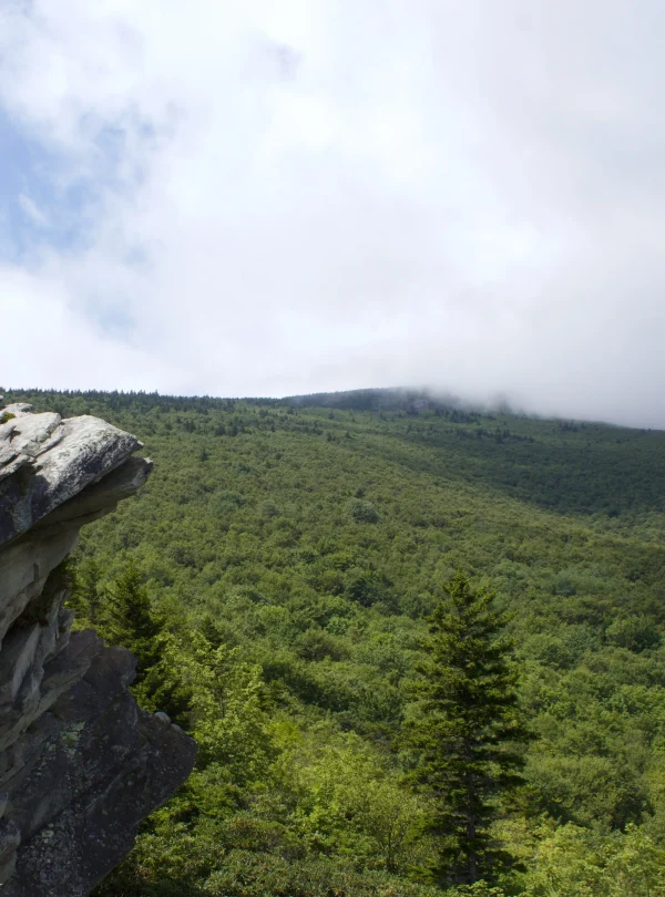USA – Storia e natura lungo la Blue Ridge Parkway