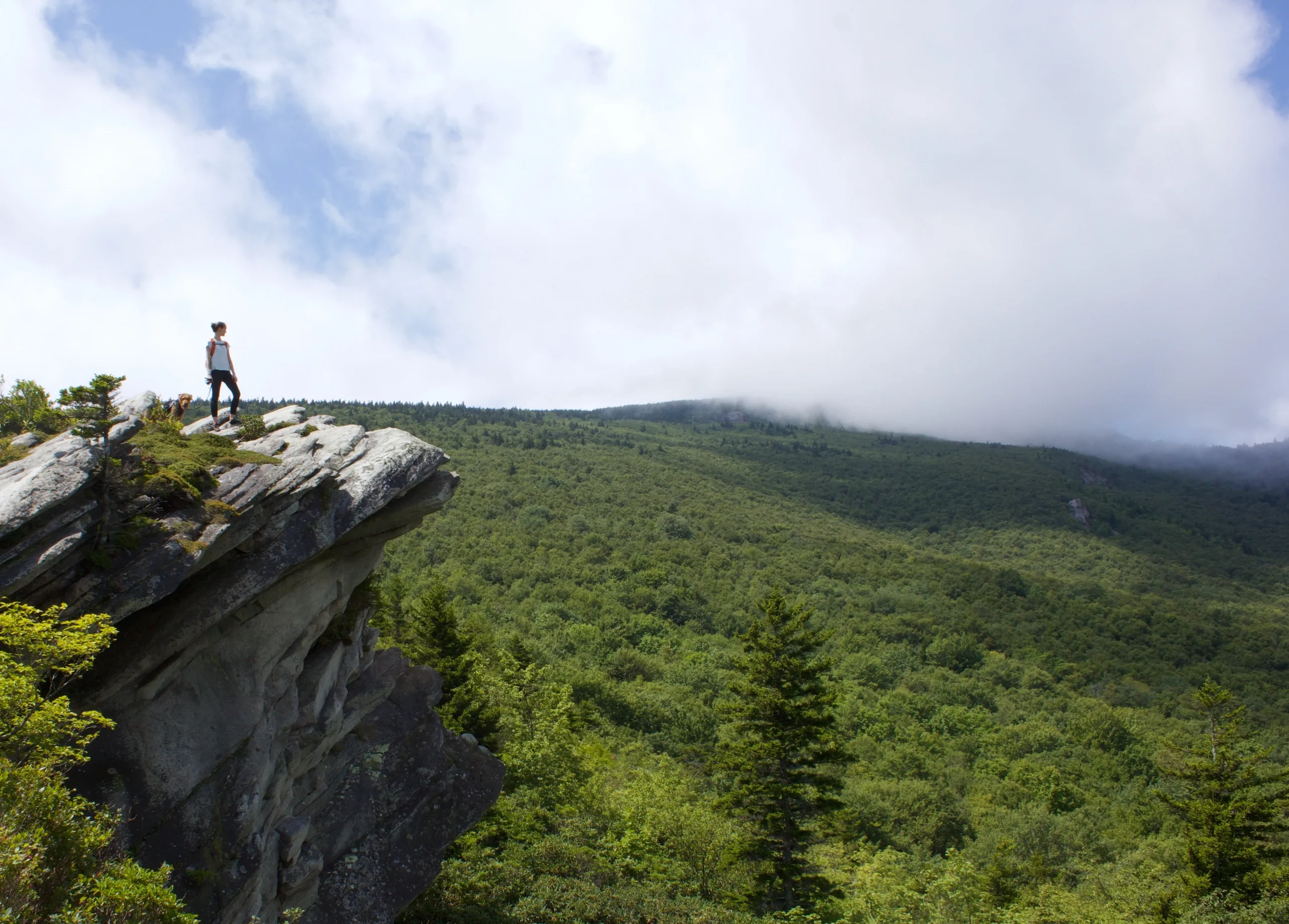USA – Storia e natura lungo la Blue Ridge Parkway