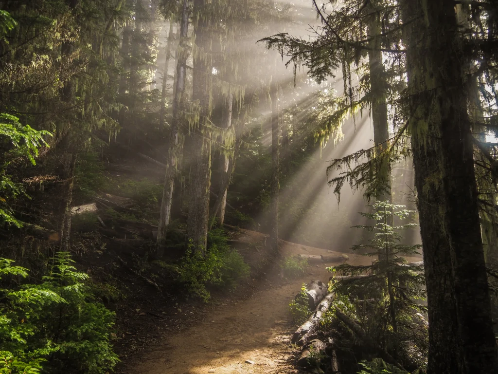 Canada – Haida Gwaii e la selvaggia costa occidentale
