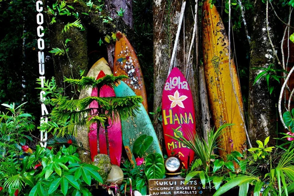 Canada & USA - Vancouver Island e Hawaii