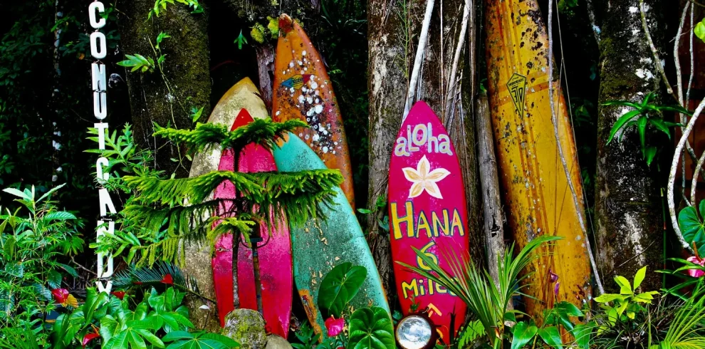 Canada & USA - Vancouver Island e Hawaii