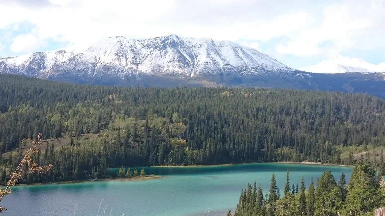 Canada – Yukon, sulle orme dei cercatori d’oro