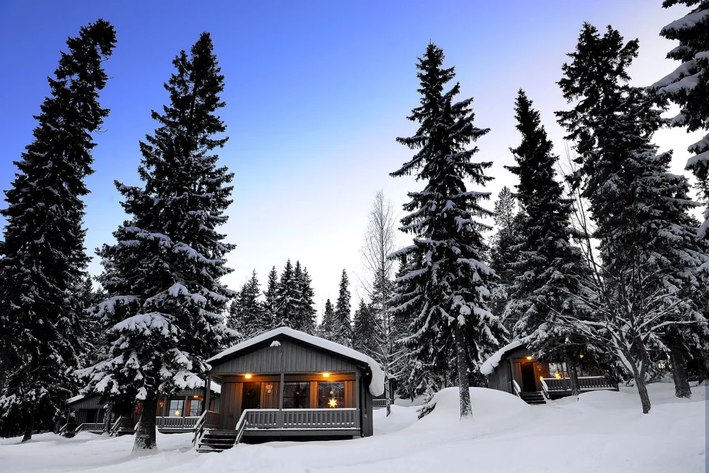 Svezia – Avventure in Lapponia svedese e Tree Hotel