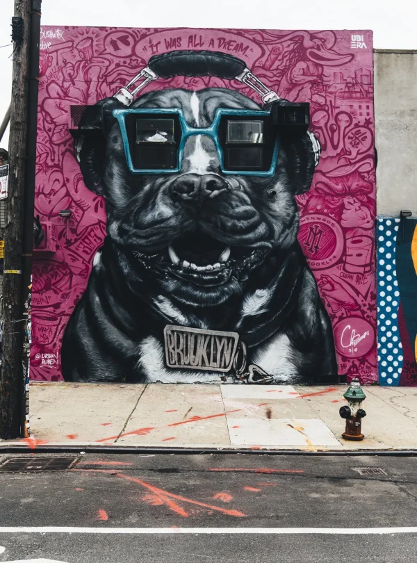 USA – Street Art Alley, da New York a Chicago