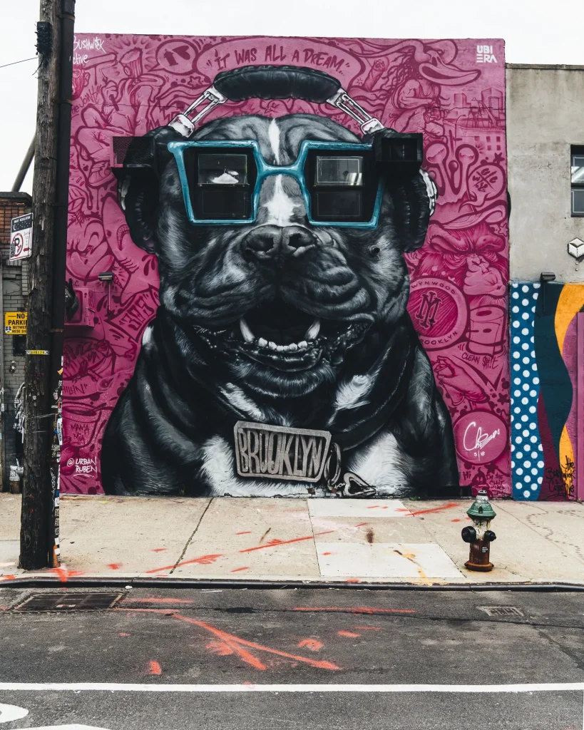 USA – Street Art Alley, da New York a Chicago
