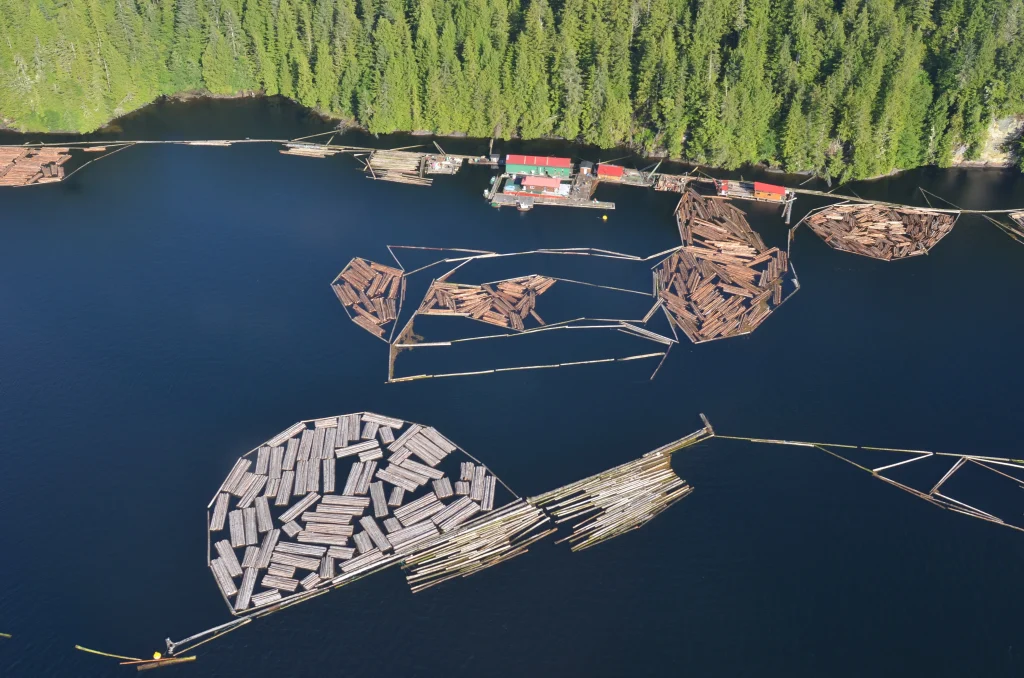 Canada – Haida Gwaii e la selvaggia costa occidentale