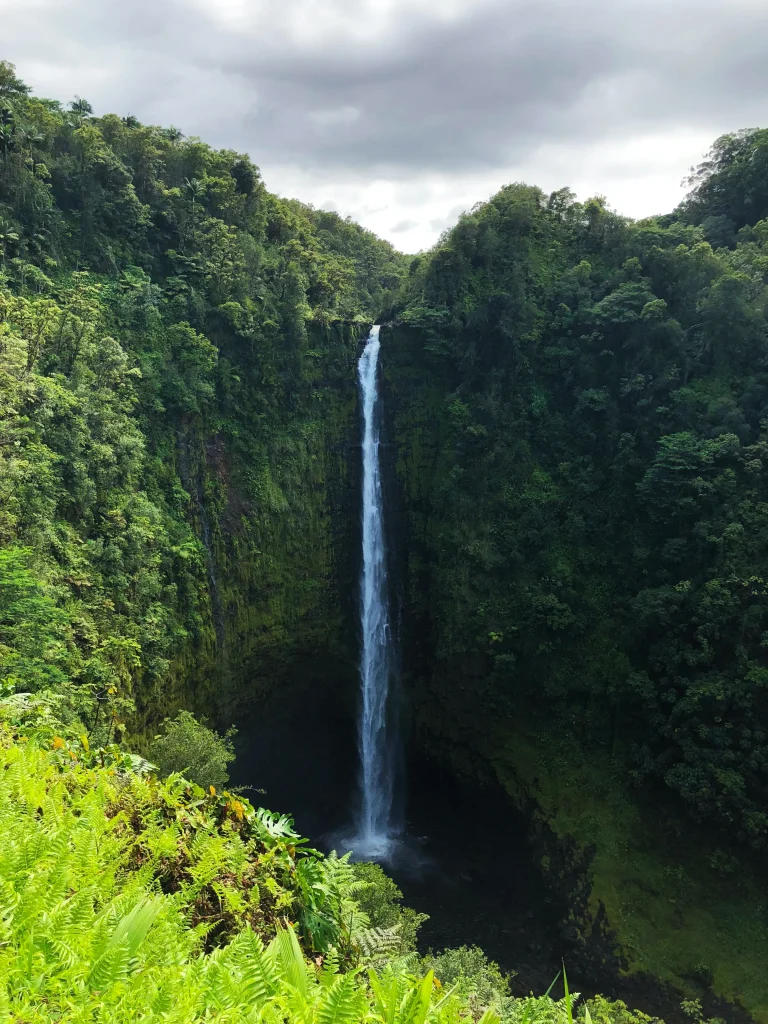 USA - Hawaii Trails - Sentieri del Pacifico del Sud - Hiking
