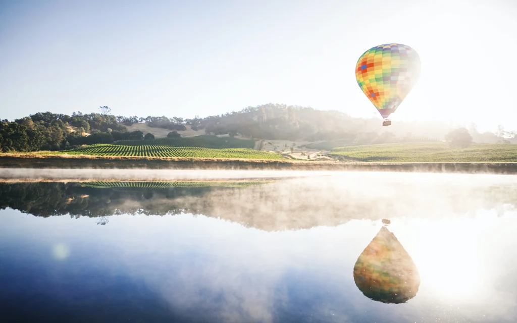 USA – La California e i vigneti