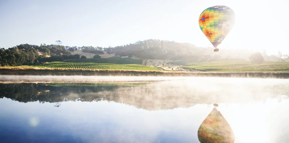 USA – La California e i vigneti