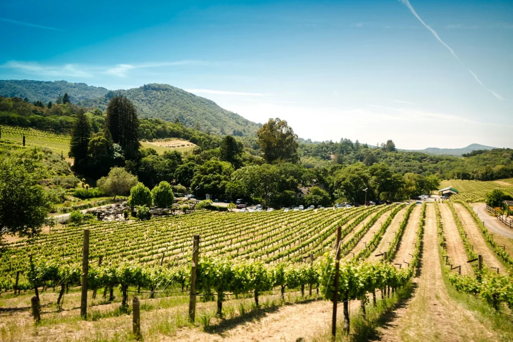 USA – California Grand Circle