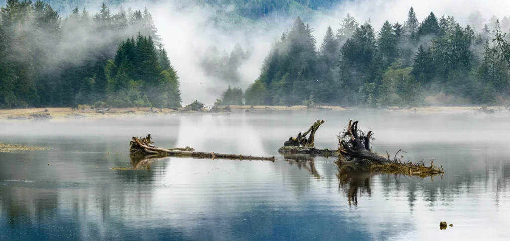 Canada - L'incredibile natura di Vancouver Island