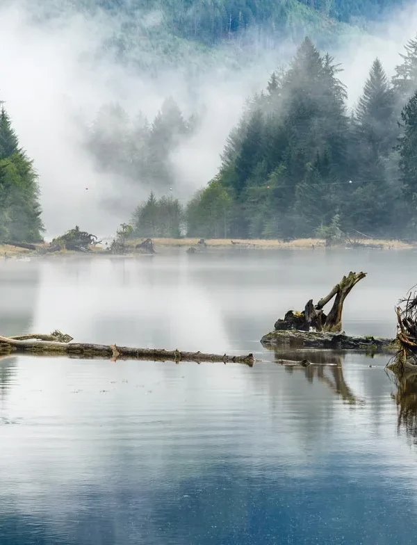 Canada - L'incredibile natura di Vancouver Island