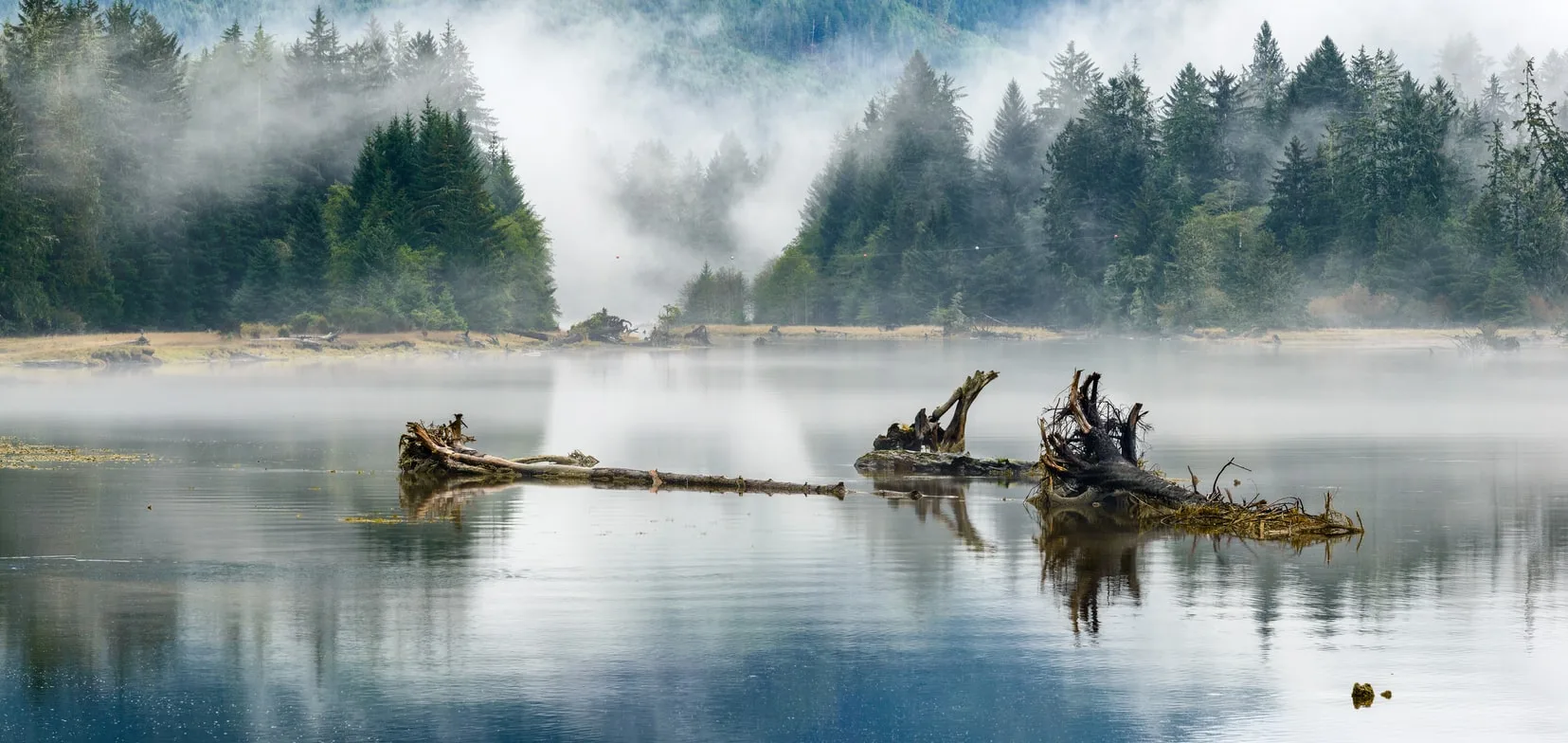 Canada - L'incredibile natura di Vancouver Island