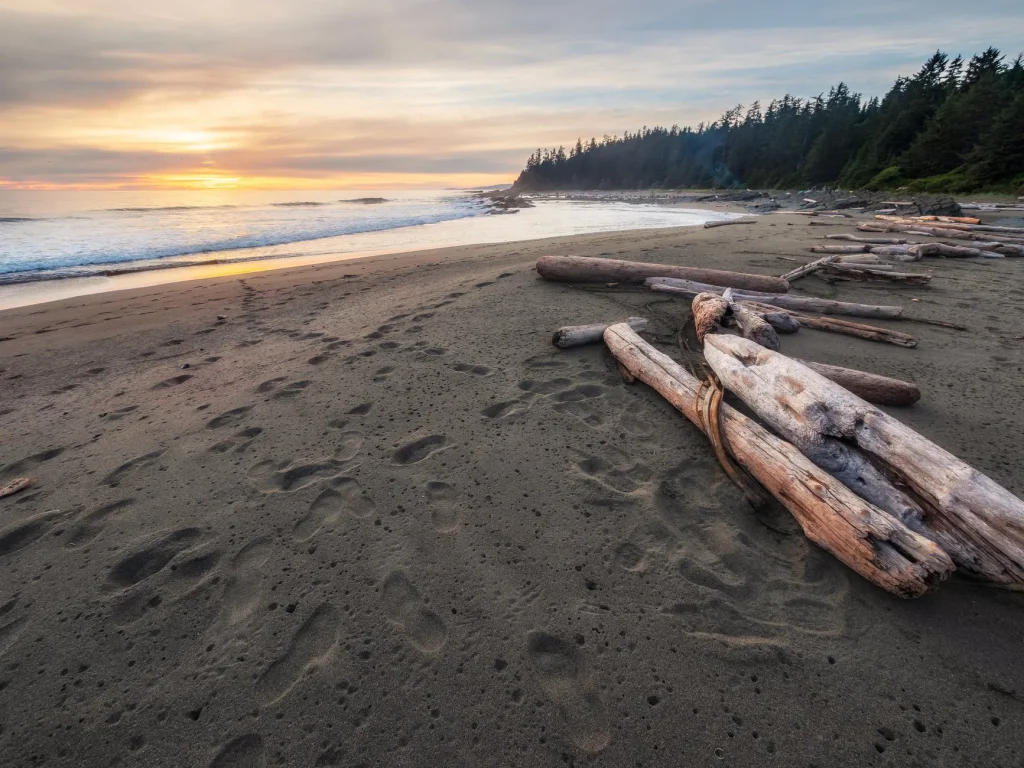 Canada - L'incredibile natura di Vancouver Island