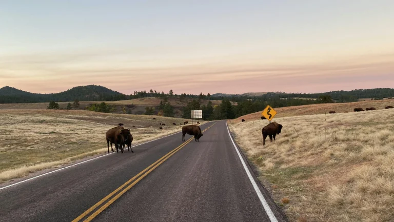 USA – Rockies & Yellowstone