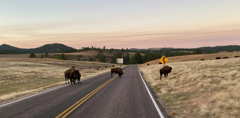 USA – Rockies & Yellowstone